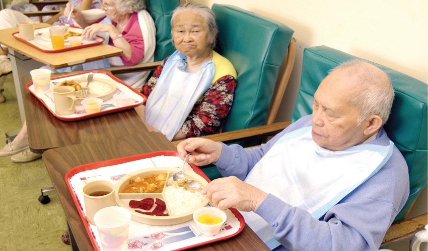 nursing home neglect forced feeding