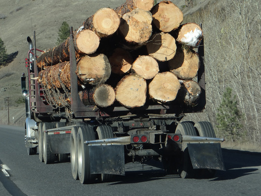 A Truck Driver’s Load Fell from Their Vehicle and Caused Me to Engage ...